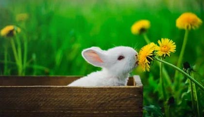 九游jiuyou-高校篮球推广体能恢复课程延长运动员竞技寿命，高校篮球现状