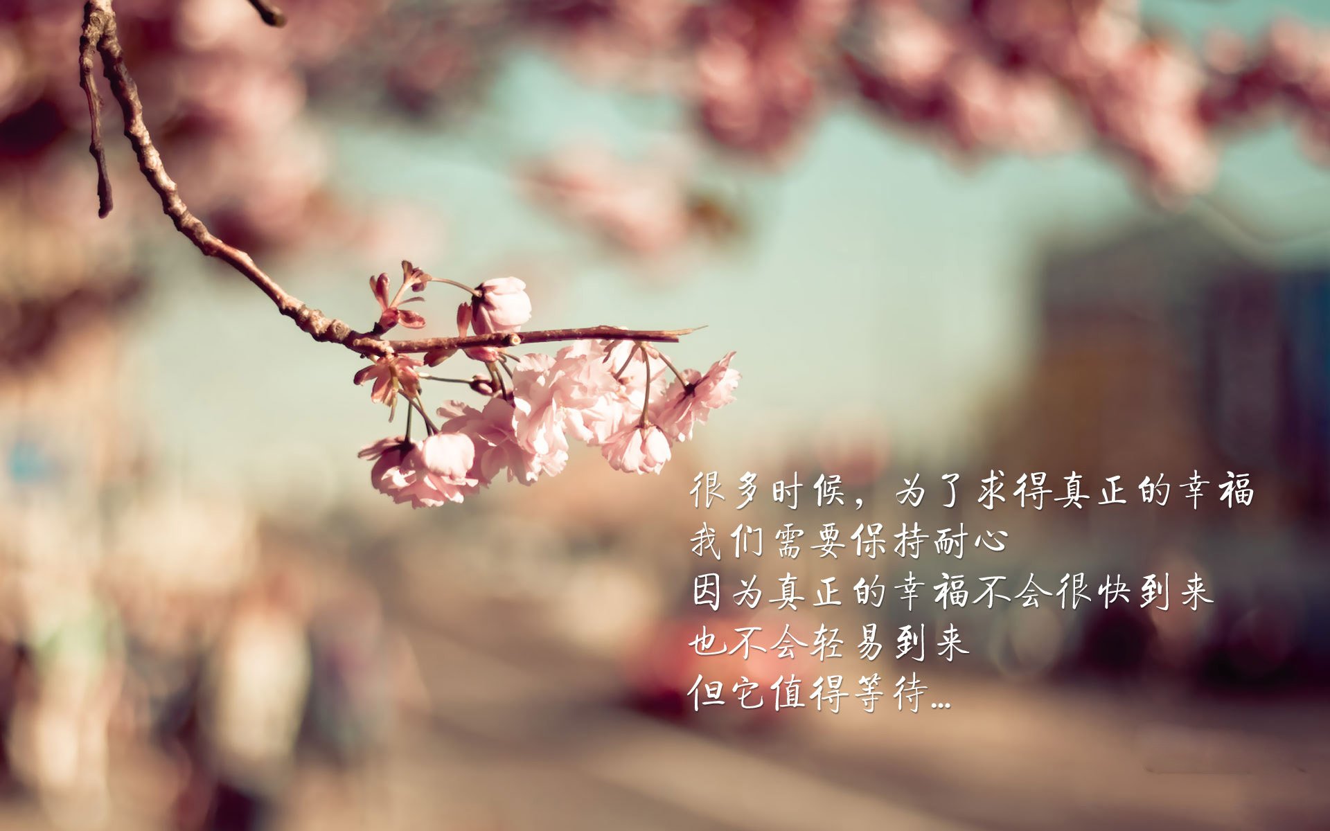 足球俱乐部发布球员成长纪实视频，足球成长语录