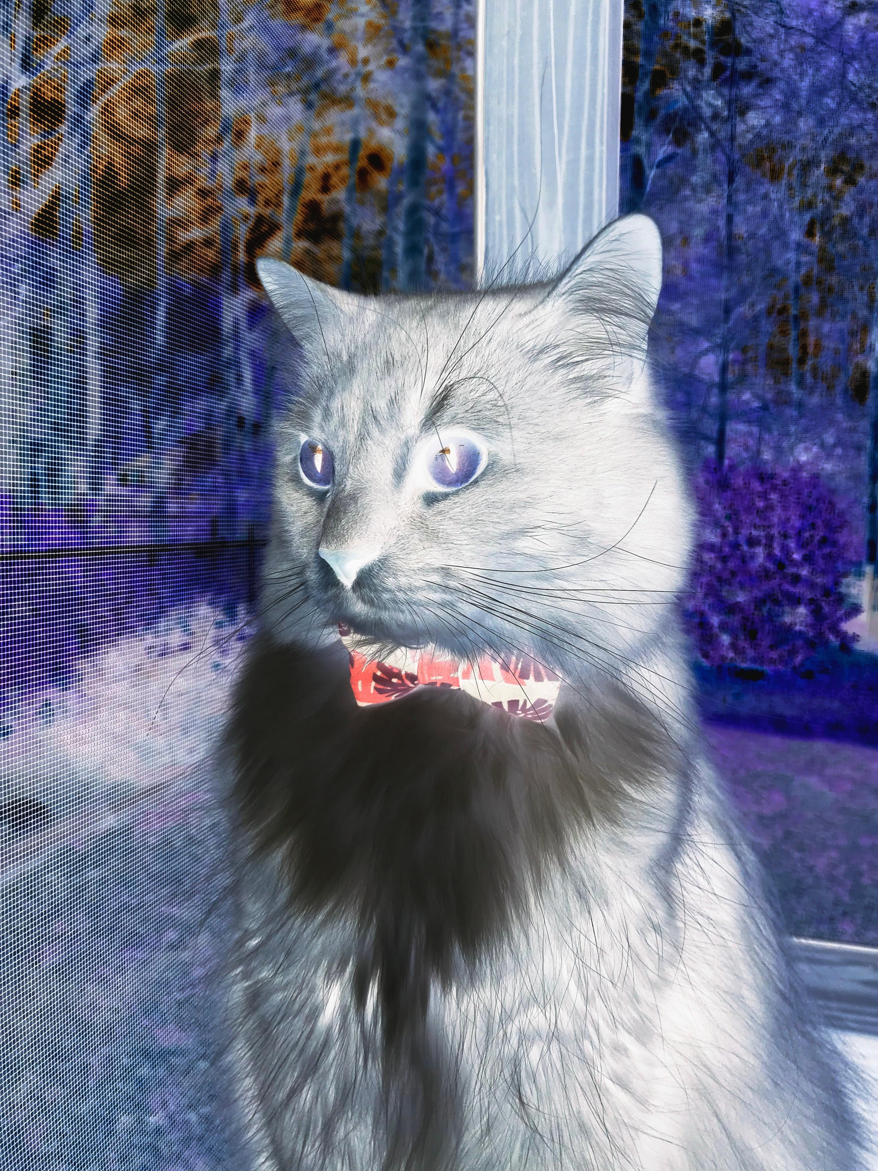 EDG新人选手表现抢眼,edg战队队员首发