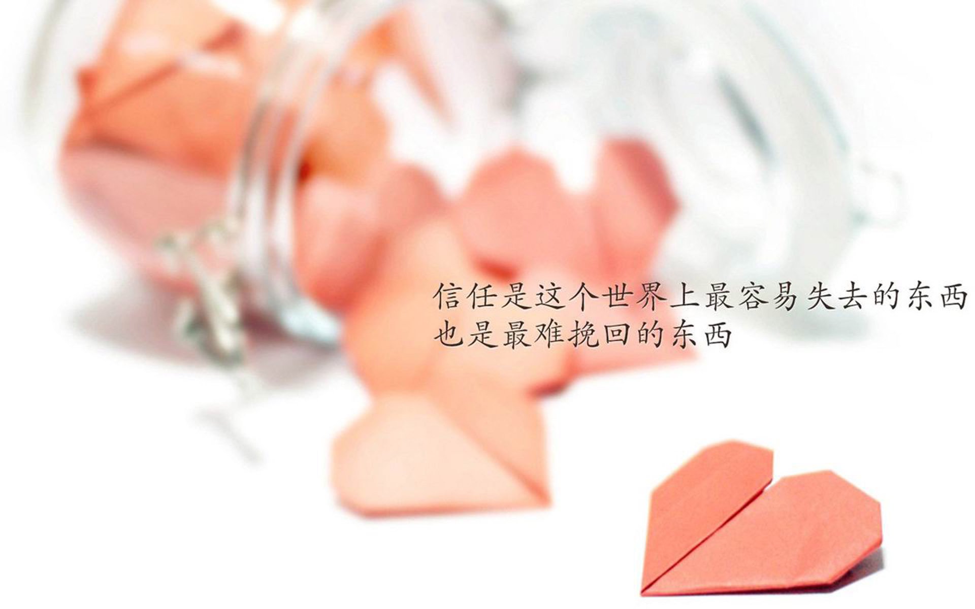 Team Liquid互动游戏上线测试，team gamer