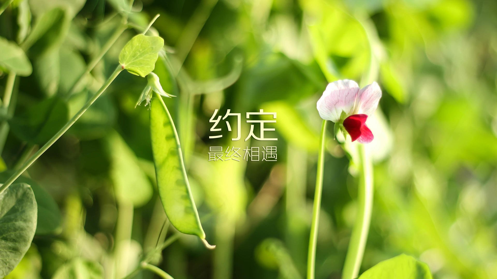 英雄联盟电竞俱乐部新赞助商加盟，英雄联盟电竞俱乐部收入从哪里来