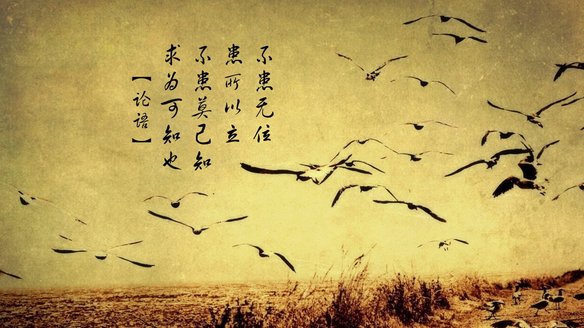 葡萄牙体育青训营培养新星，葡萄牙青训体系