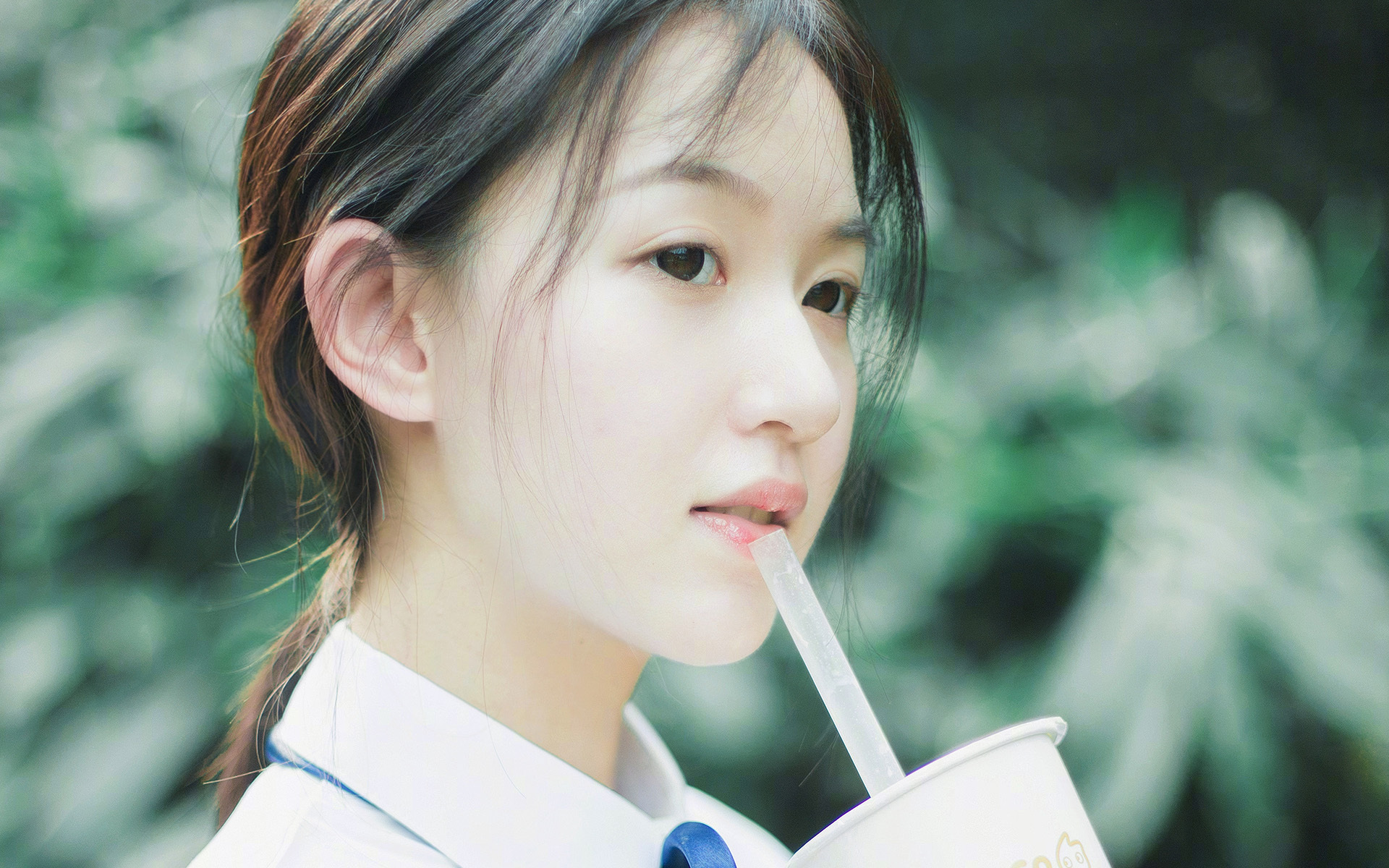 德甲俱乐部会员制优惠提升球迷现场参与度，德甲参赛球队