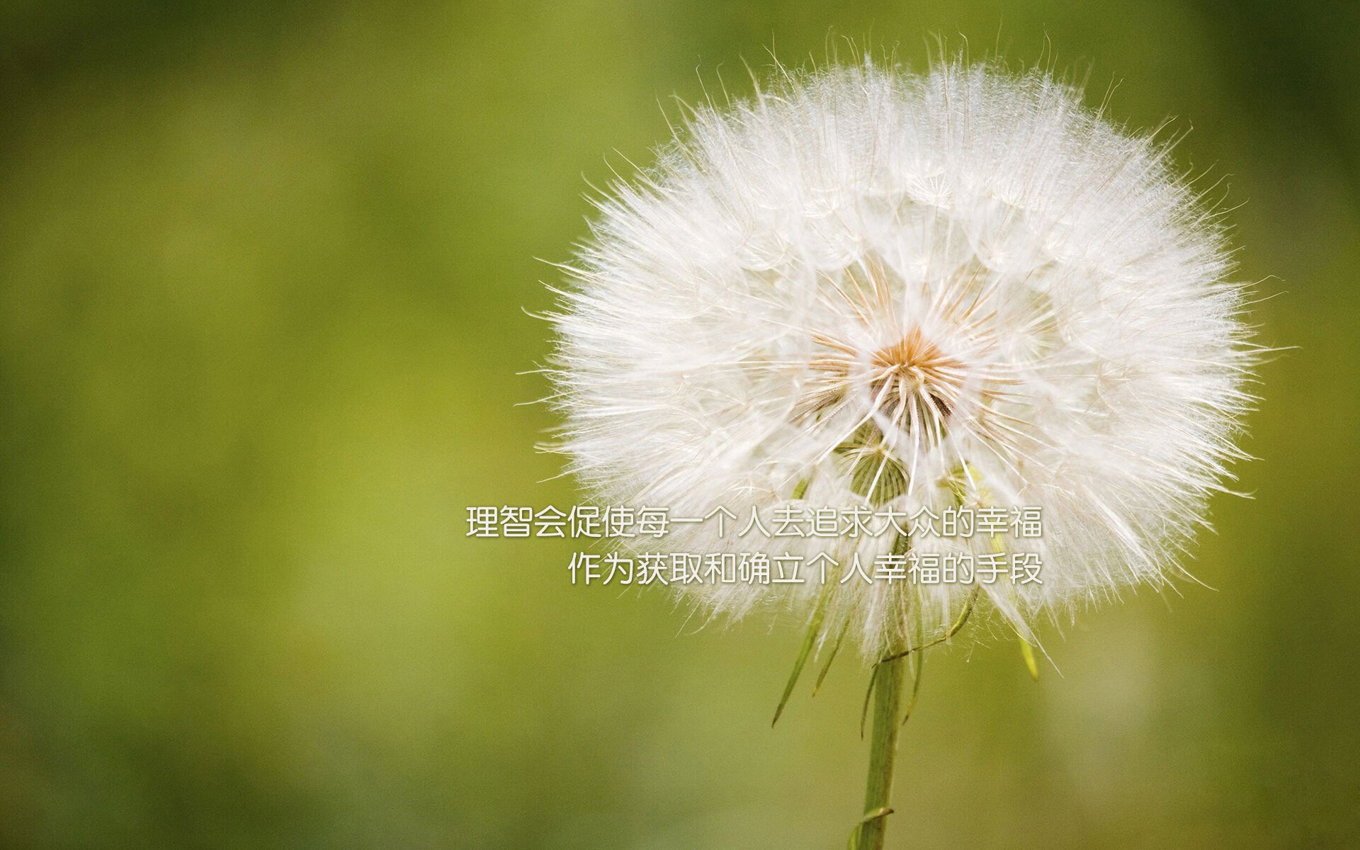 英超球队中场组织策略与防守稳定性相关性分析，英超足球中场休息时间多长