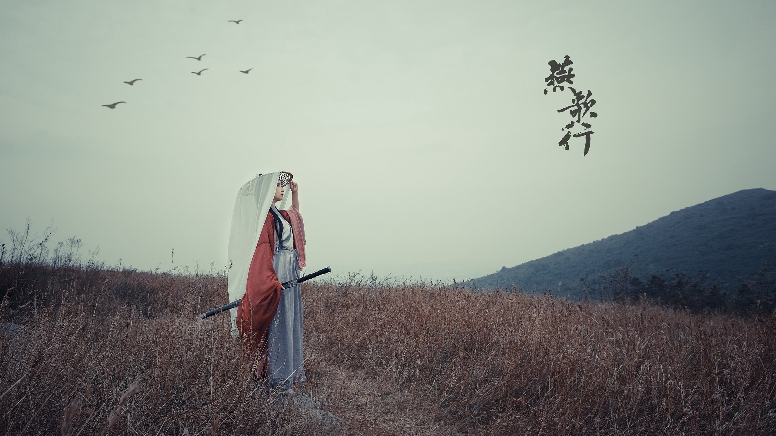 中国女排发布新赛季官方海报，中国女排新动态