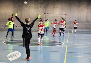 九游娱乐APP-国家运动医学研究院发布运动员训练负荷监控手册，运动负荷监控的主要内容