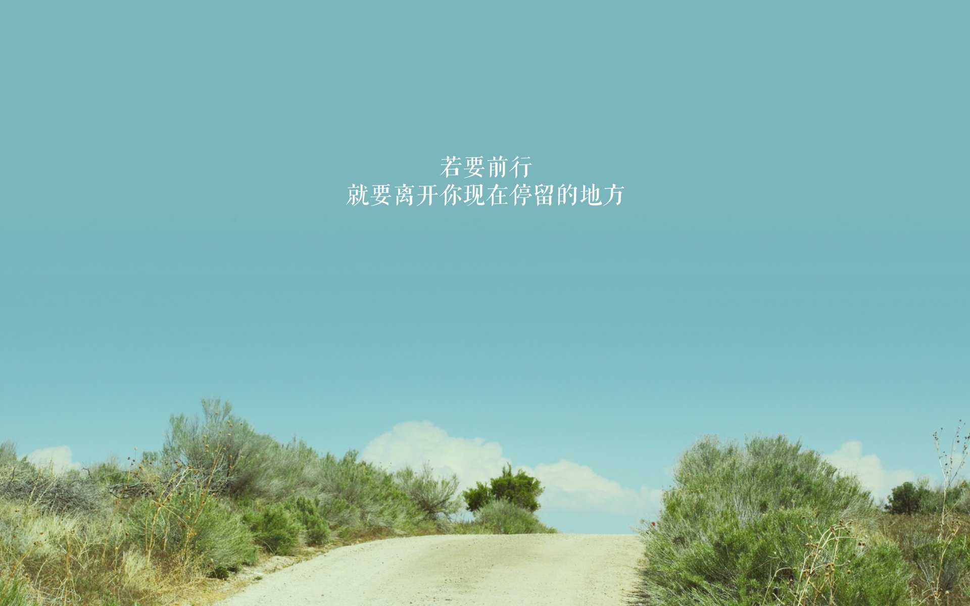 拜仁慕尼黑稳稳领跑德甲,冠军在望