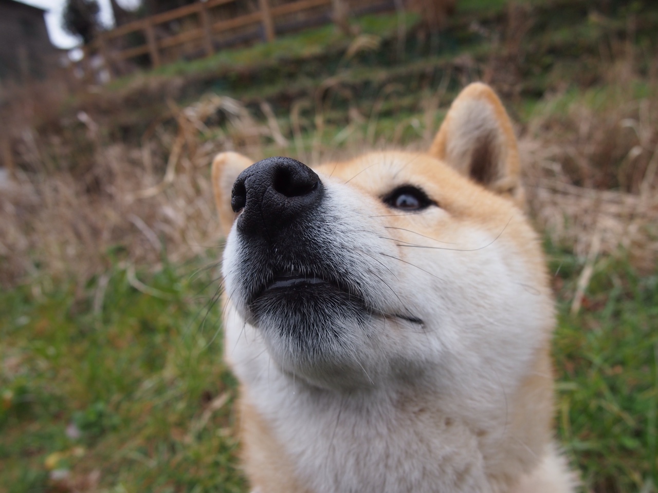 拉文在关键时刻连中跳投公牛顶住压力,拉文50分公牛遭逆转