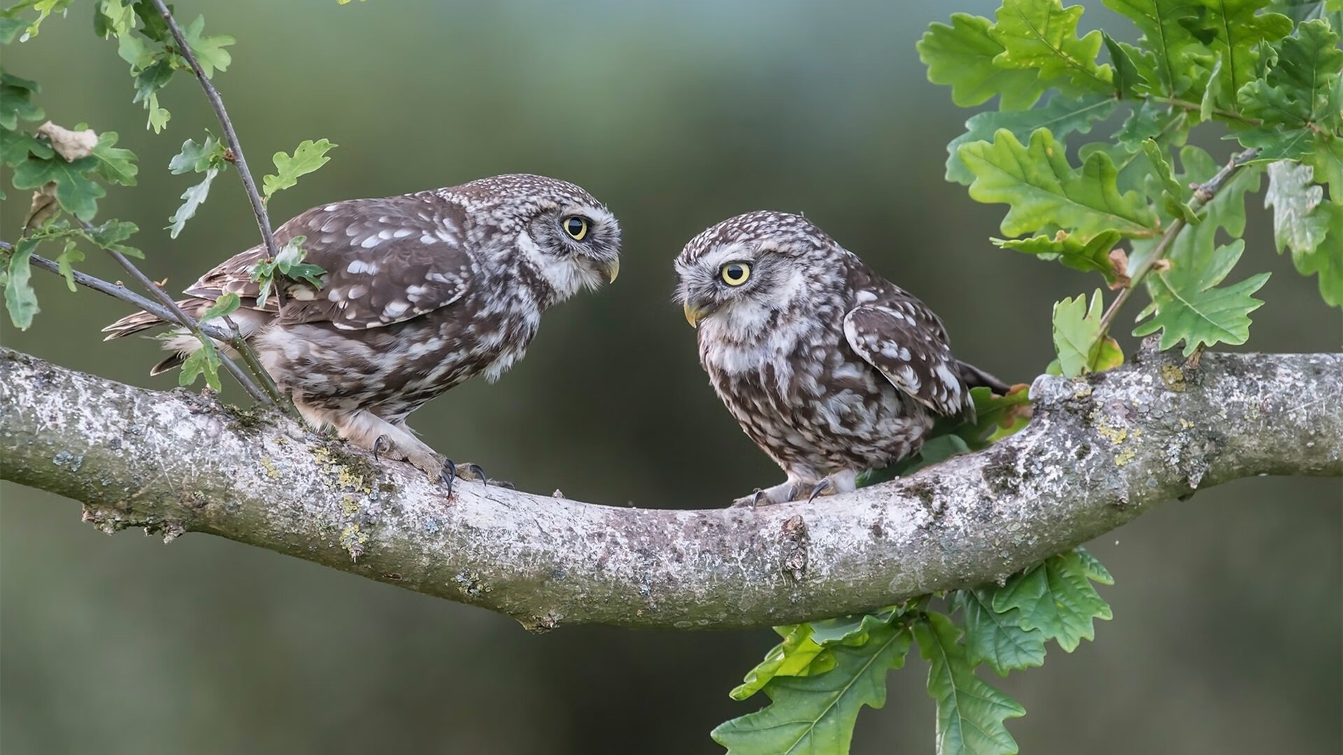 新闻中心公布体育经济论坛年度会议议题摘要，体育产业高峰论坛