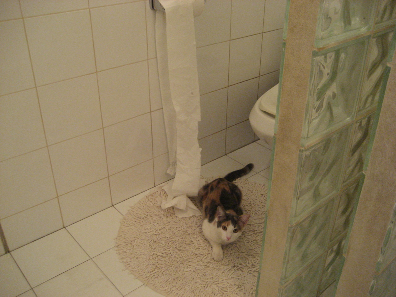 极限自行车培训基地落成引发关注，极限自行车叫什么名字