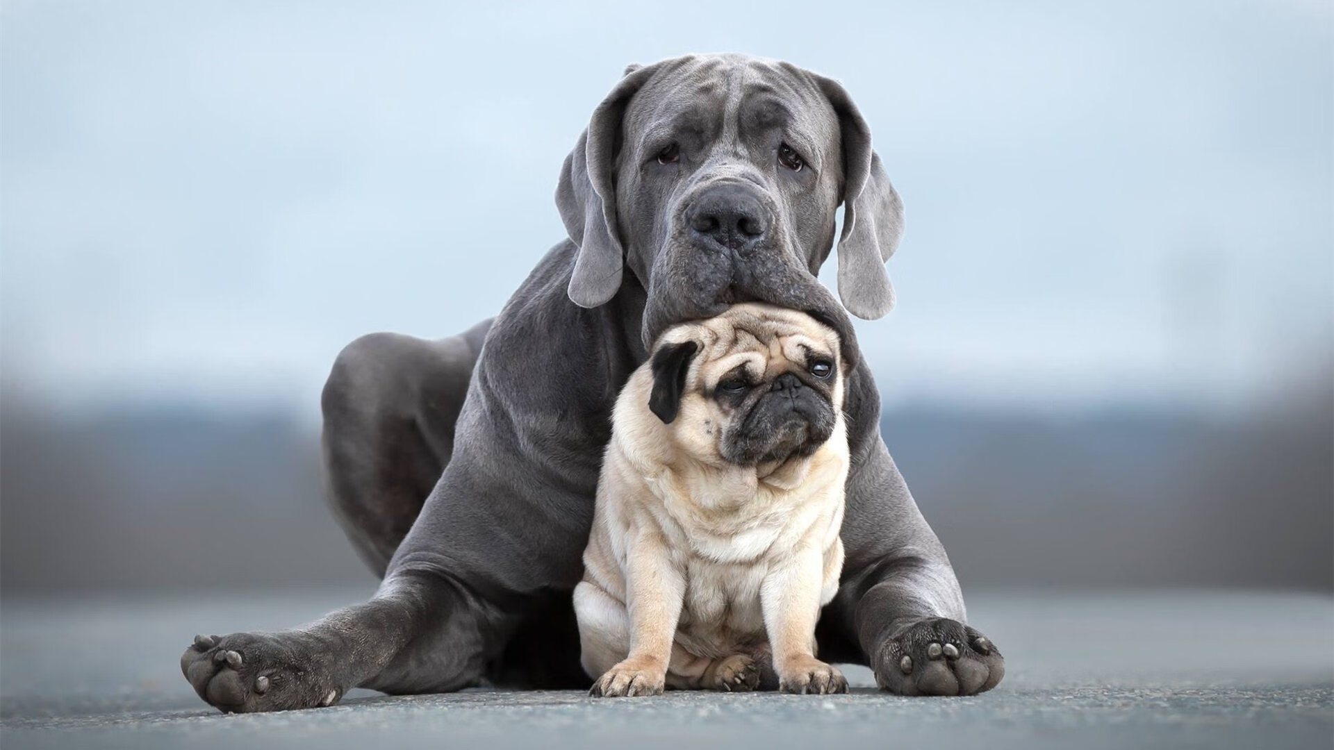 球员达成国家纪录,媒体展开专题报道,球员锦标赛2021赛程