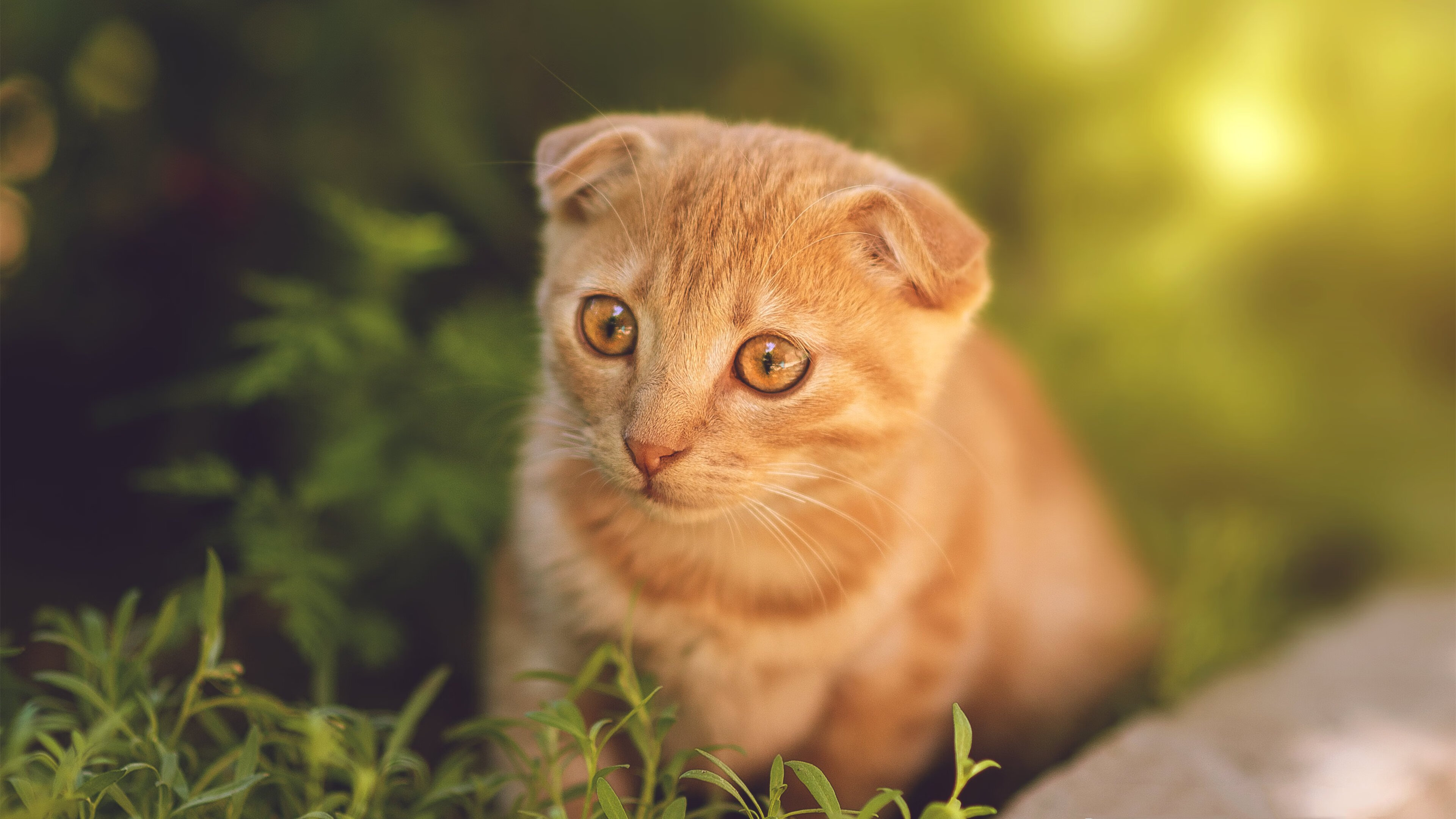 西甲联赛的球迷文化多样性分析,西甲球队风格